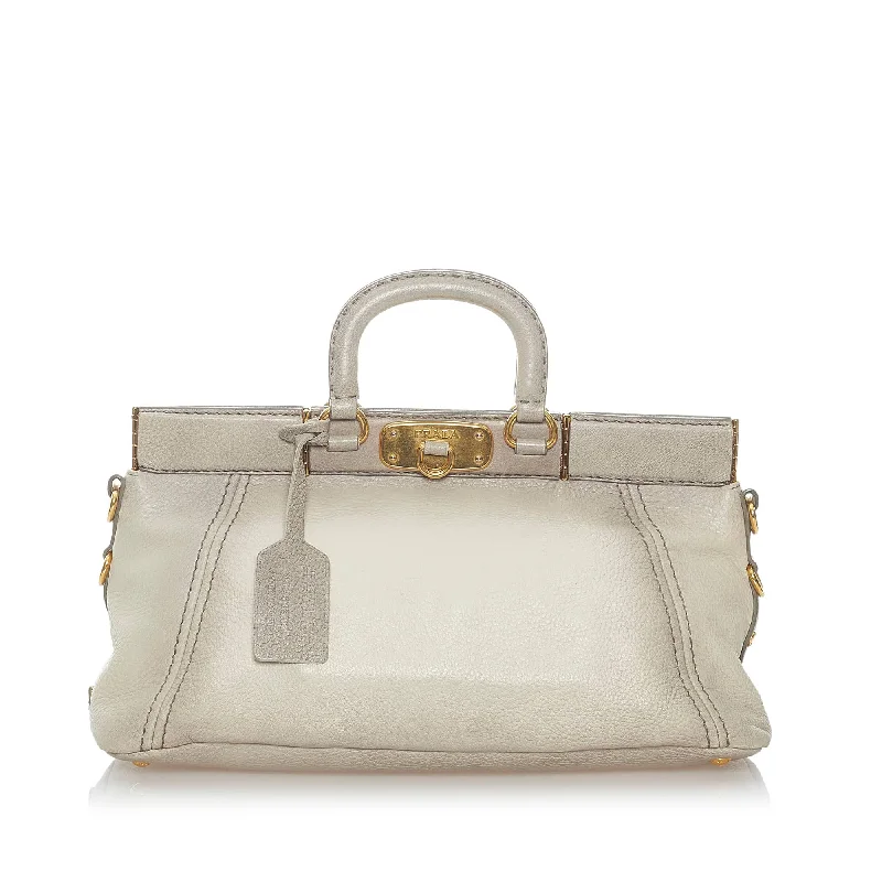 Prada Cervo Antik Frame HandBag Grey